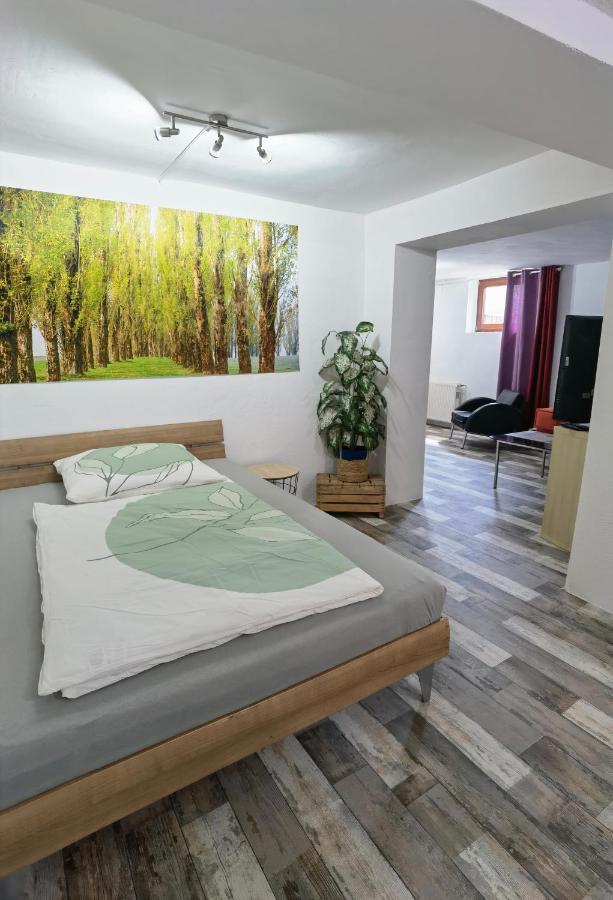 Ferienwohnung - Appartement "Painted Horse" Im Herzen Des Pfaelzer Waldes Reichenbach-Steegen Exterior photo