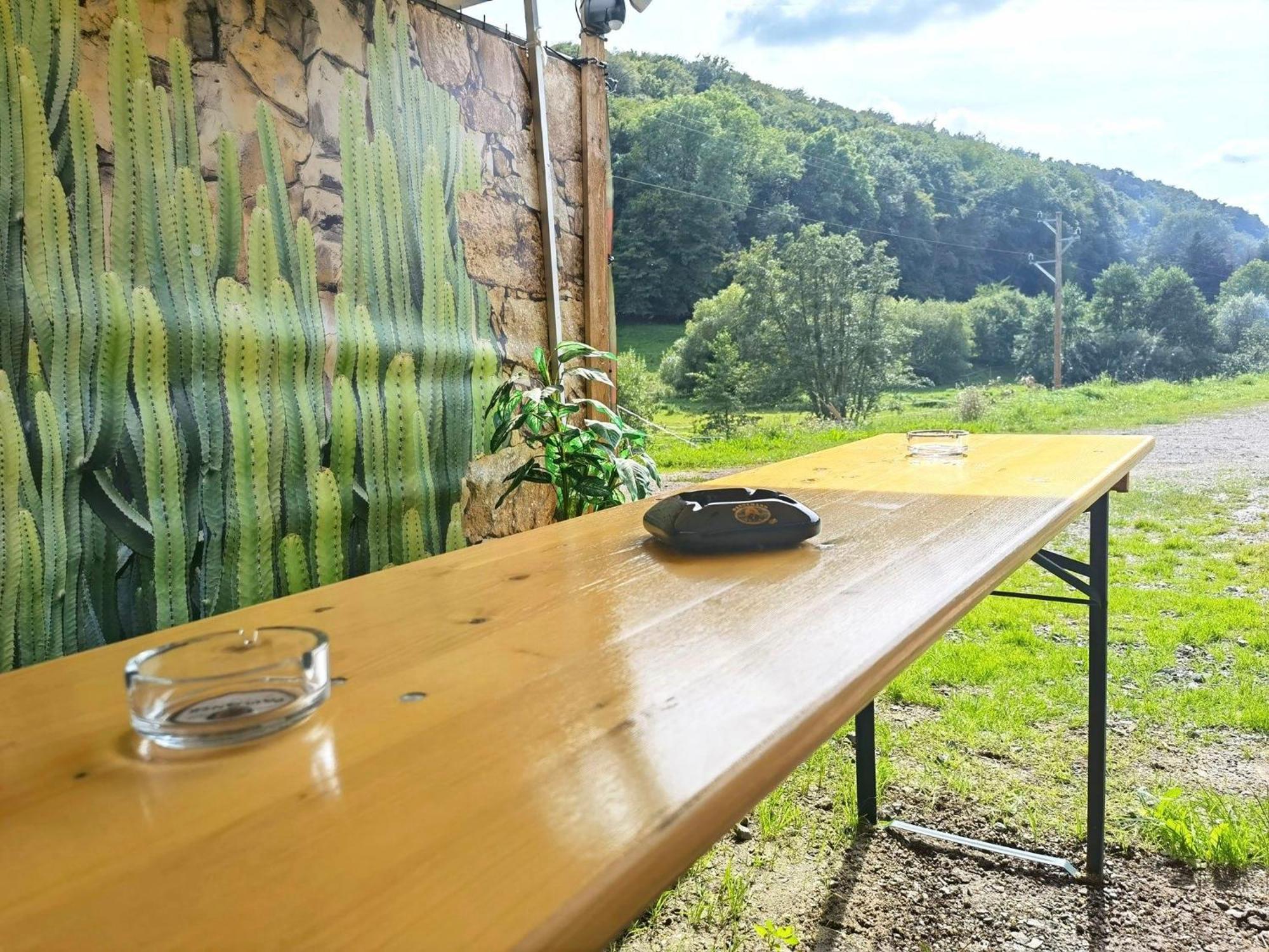 Ferienwohnung - Appartement "Painted Horse" Im Herzen Des Pfaelzer Waldes Reichenbach-Steegen Exterior photo